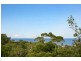 North Avoca NSW 2260
