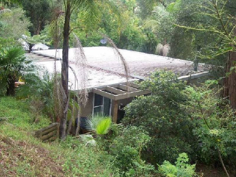 53 Carolina Park Road, Avoca Beach NSW 2251