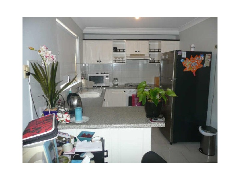 Terrigal NSW 2260