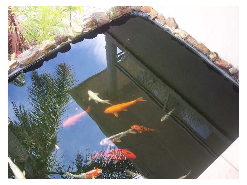 48 Kalakau Avenue, Forresters Beach NSW 2260