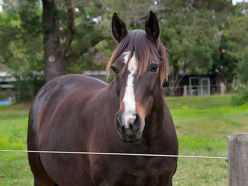 Kulnura NSW 2250