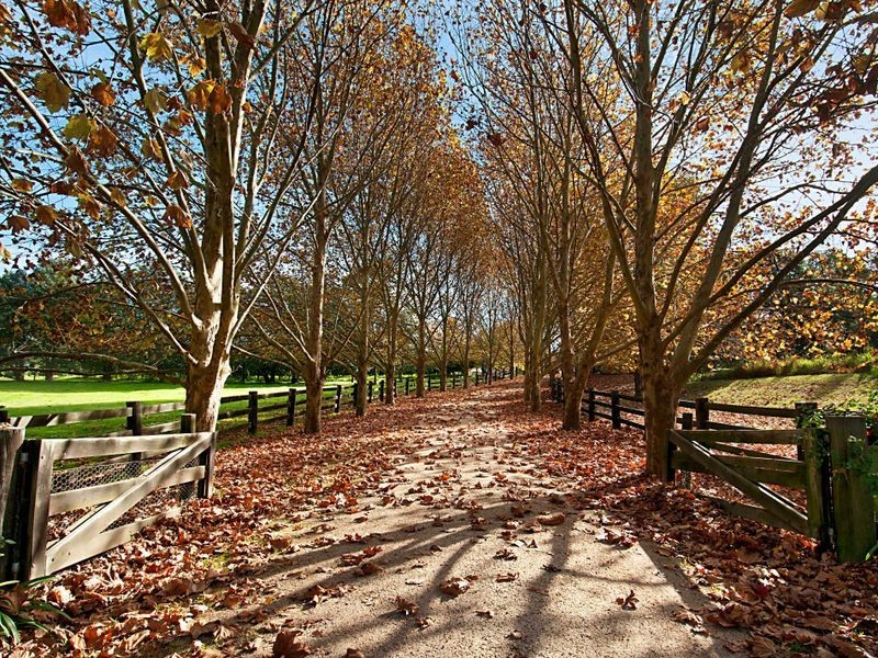 83 Finns Road, Kulnura NSW 2250