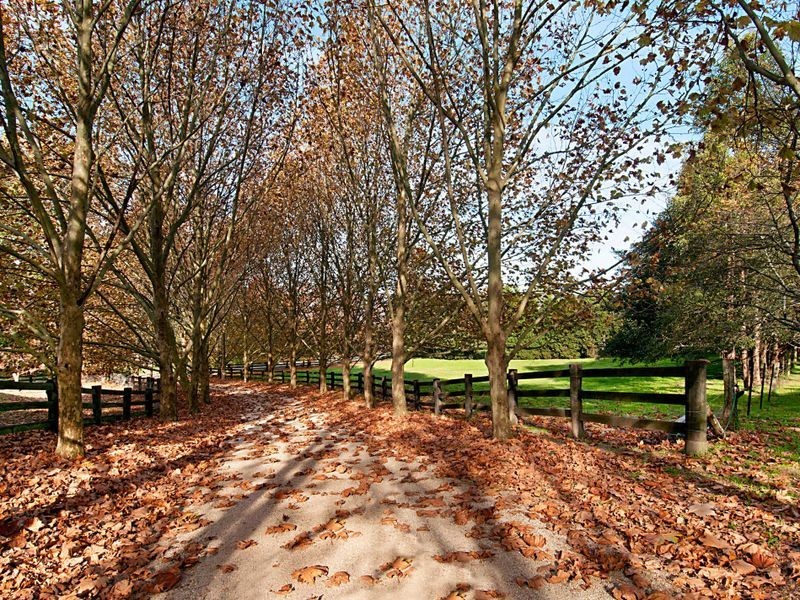 83 Finns Road, Kulnura NSW 2250