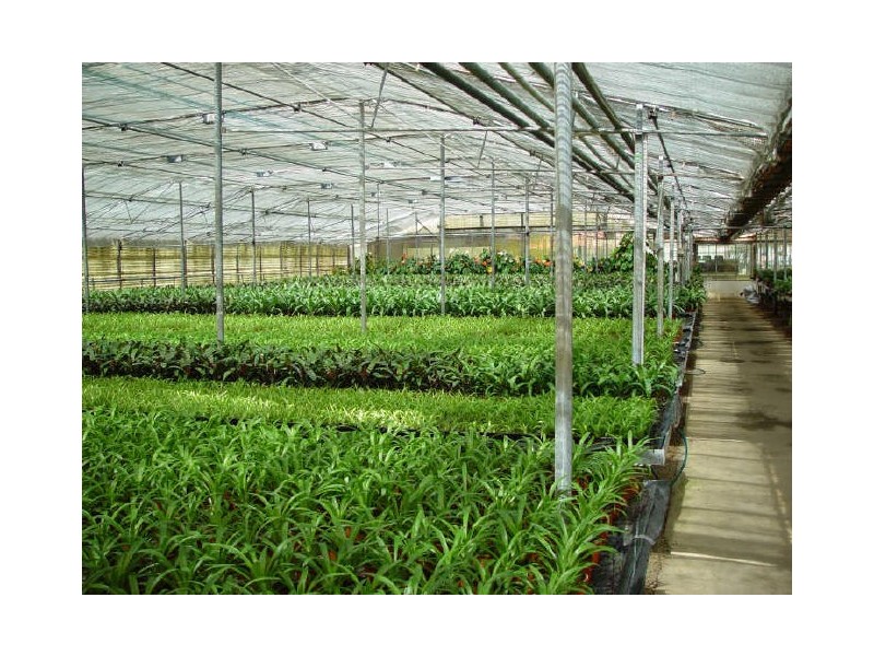 115 Lee and Clark Road, Kemps Creek NSW 2178