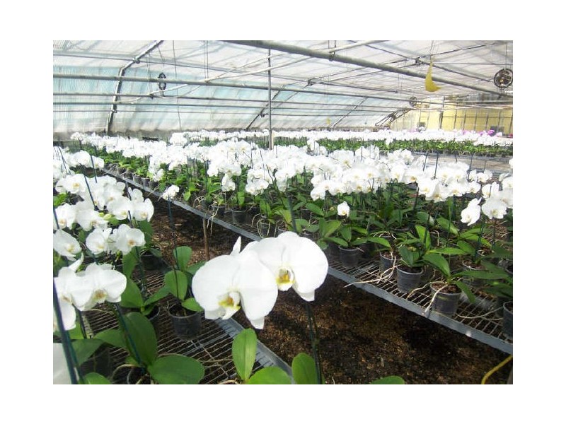 115 Lee and Clark Road, Kemps Creek NSW 2178