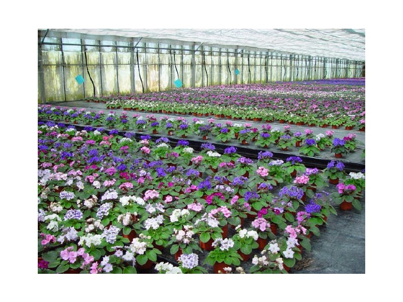 115 Lee and Clark Road, Kemps Creek NSW 2178