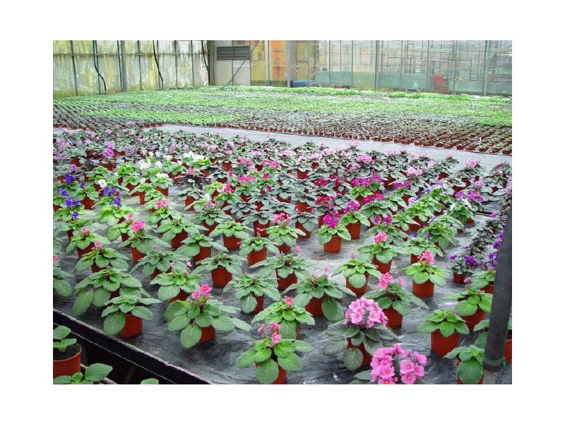 115 Lee and Clark Road, Kemps Creek NSW 2178