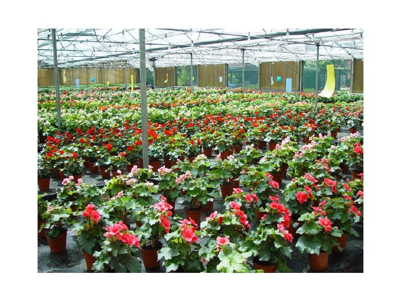 115 Lee and Clark Road, Kemps Creek NSW 2178