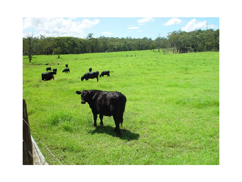 58 Cherry Lane, Kulnura NSW 2250