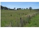 Lot 4 Hunterview Road, North Arm Cove NSW 2324