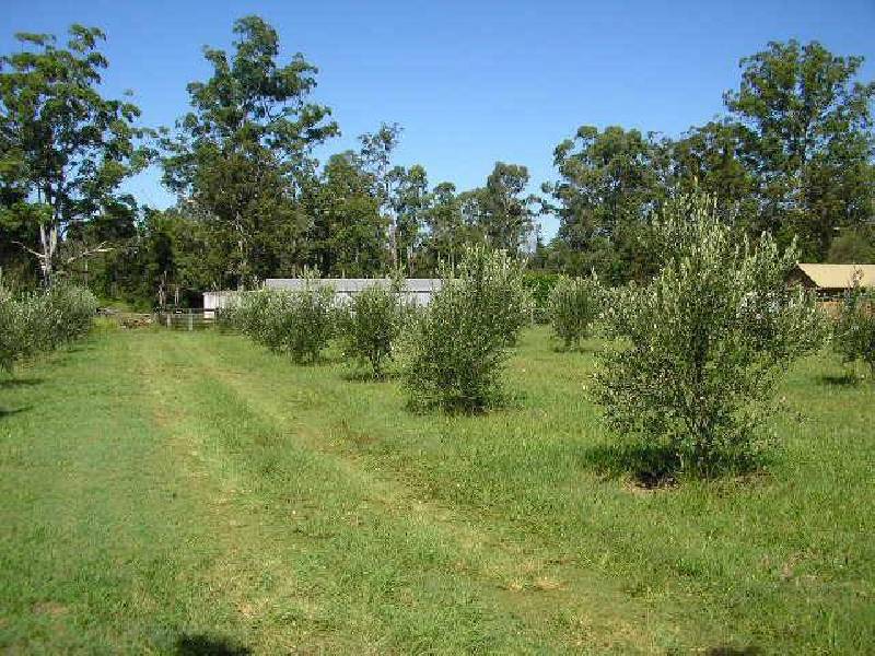 30 Smiths Road, Tatham NSW 2471
