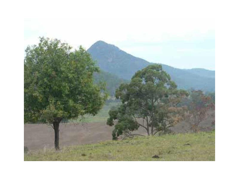 Beaury Creek Loop Rd, Urbenville NSW 2475