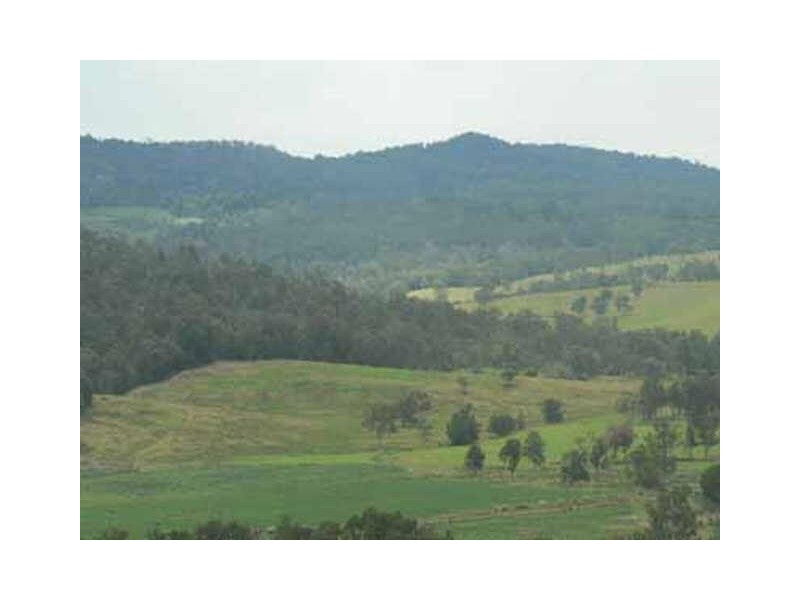 Beaury Creek Loop Rd, Urbenville NSW 2475