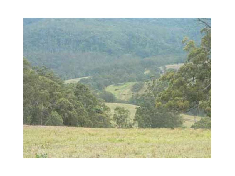 Beaury Creek Loop Rd, Urbenville NSW 2475