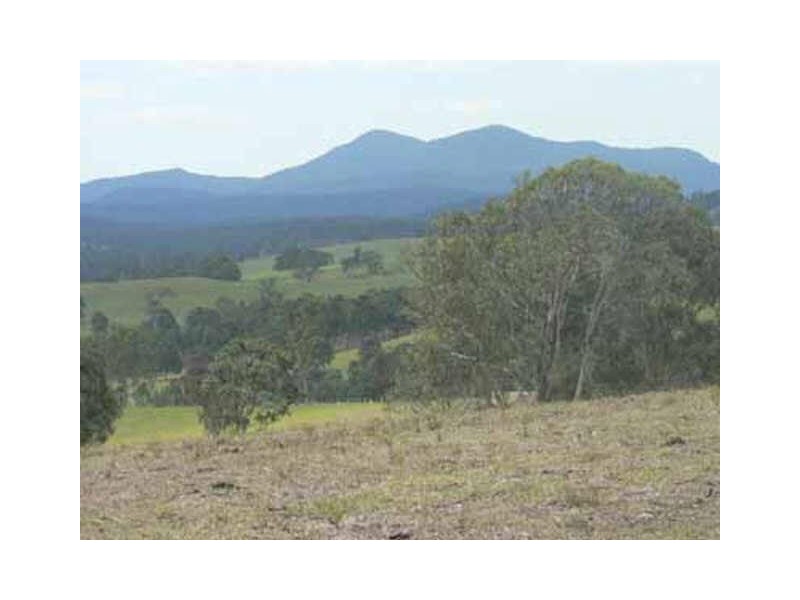 Beaury Creek Loop Rd, Urbenville NSW 2475