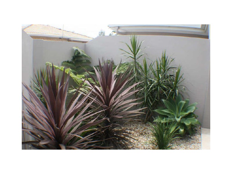 3/23 Booyong Street, Evans Head NSW 2473