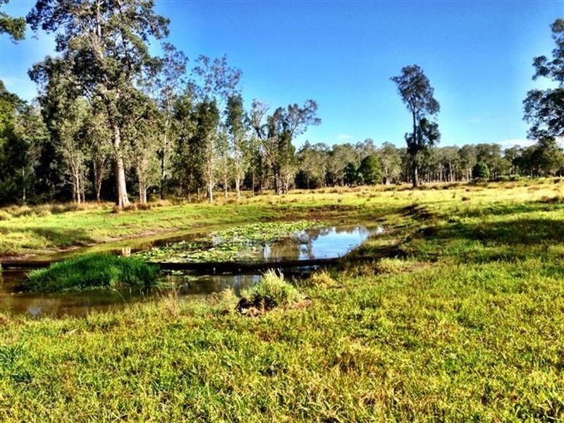 439 Tuckean Island Road, Green Forest NSW 2471