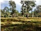 439 Tuckean Island Road, Green Forest NSW 2471