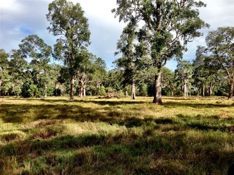 439 Tuckean Island Road, Green Forest NSW 2471