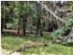 439 Tuckean Island Road, Green Forest NSW 2471