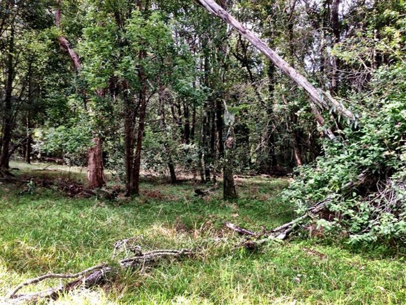 439 Tuckean Island Road, Green Forest NSW 2471