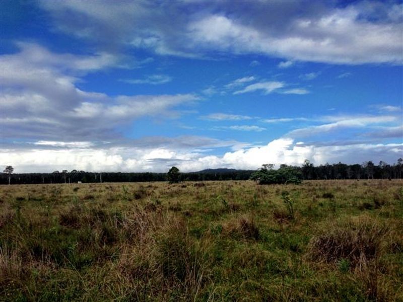 439 Tuckean Island Road, Green Forest NSW 2471