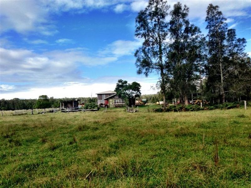 439 Tuckean Island Road, Green Forest NSW 2471
