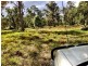 439 Tuckean Island Road, Green Forest NSW 2471