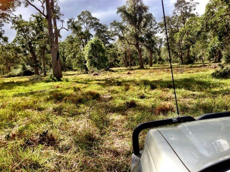 439 Tuckean Island Road, Green Forest NSW 2471