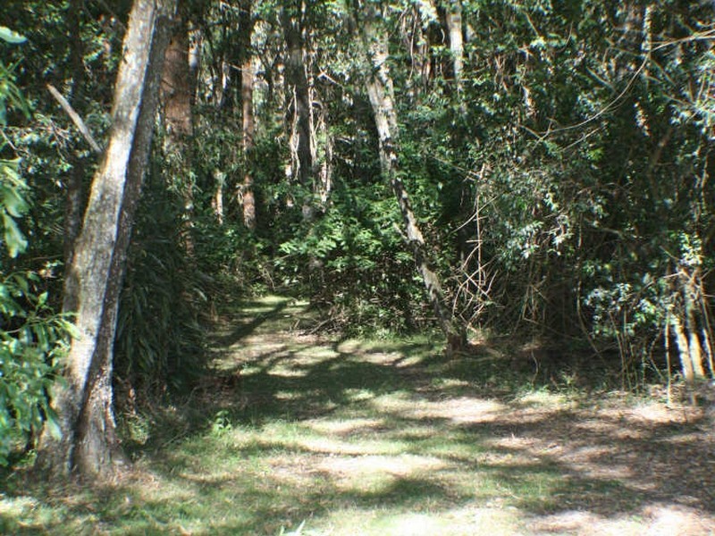 360 Beach Road, Evans Head NSW 2473