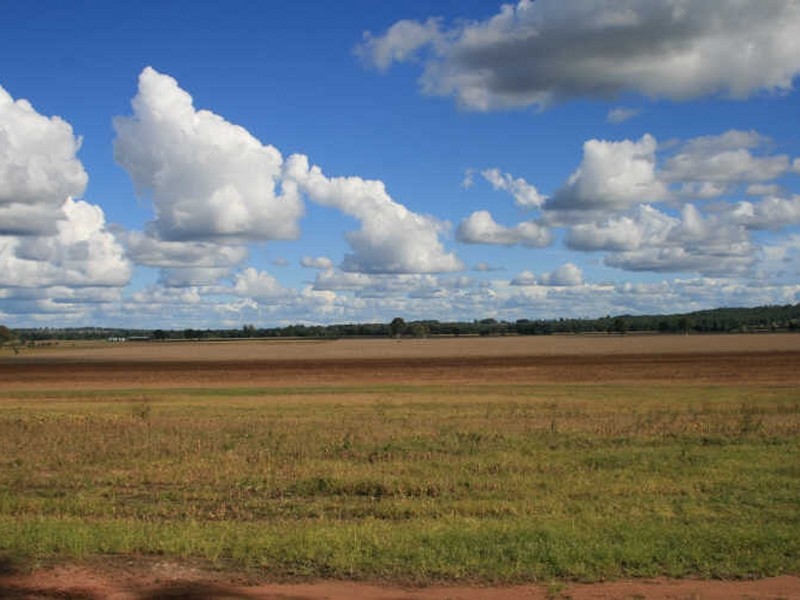 335 Shannon Brook Rd, Casino NSW 2470