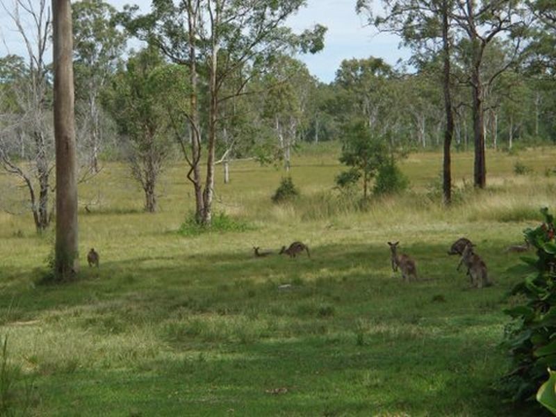 640 Moonem Road, Woodburn NSW 2472