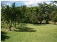 442 Dunoon Road, Lismore NSW 2480