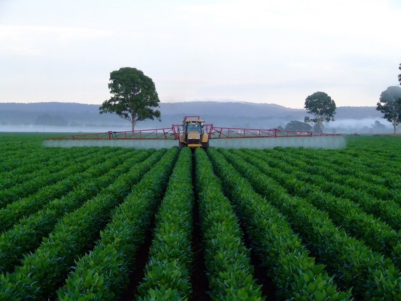 1/335 Shannon Brook Rd, Casino NSW 2470