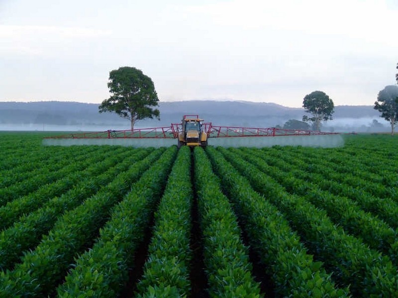 Lot 59 & 60/335 Shannon Brook Rd, Casino NSW 2470