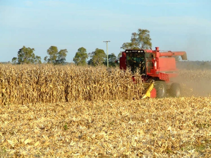 Lot 59 & 60/335 Shannon Brook Rd, Casino NSW 2470