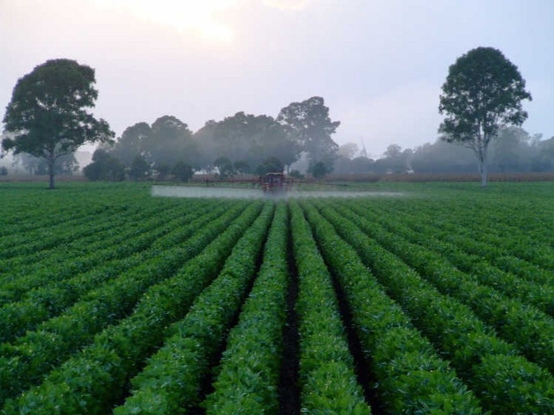 Lot 59 & 60/335 Shannon Brook Rd, Casino NSW 2470