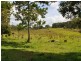 1 & 2 Hills Road, Rileys Hill NSW 2472