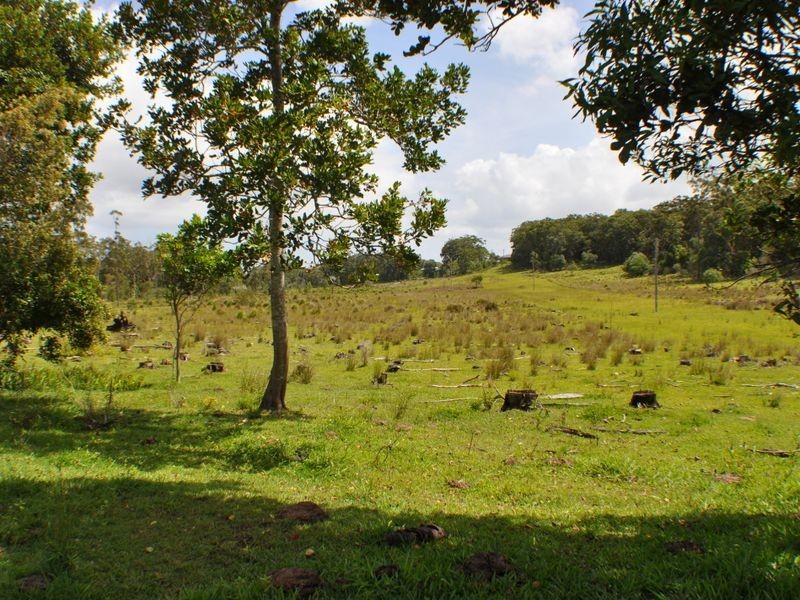 1 & 2 Hills Road, Rileys Hill NSW 2472