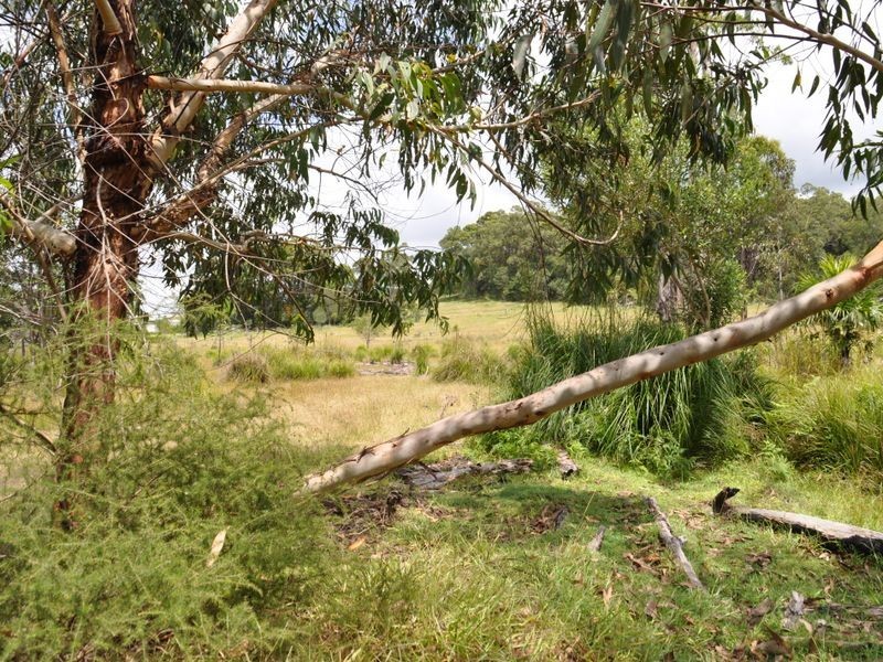 1 & 2 Hills Road, Rileys Hill NSW 2472