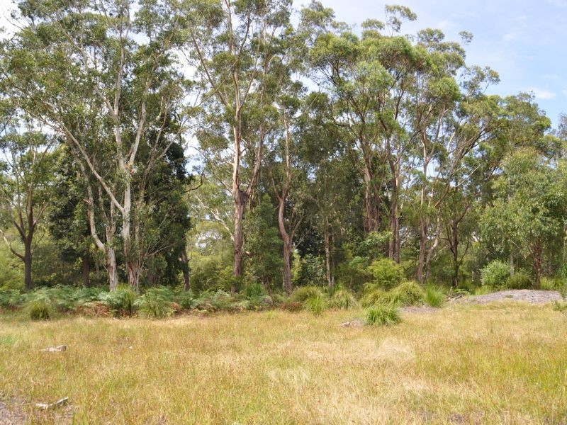 1 & 2 Hills Road, Rileys Hill NSW 2472