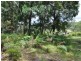 1 & 2 Hills Road, Rileys Hill NSW 2472