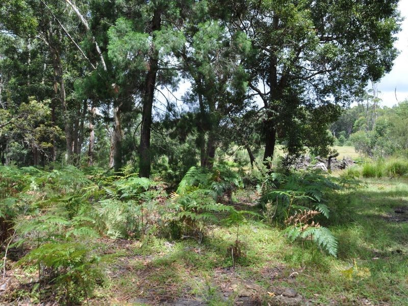 1 & 2 Hills Road, Rileys Hill NSW 2472