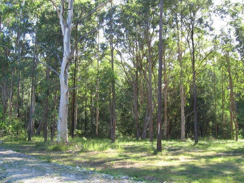 Lot 109 Mahogony Road, New Italy NSW 2472