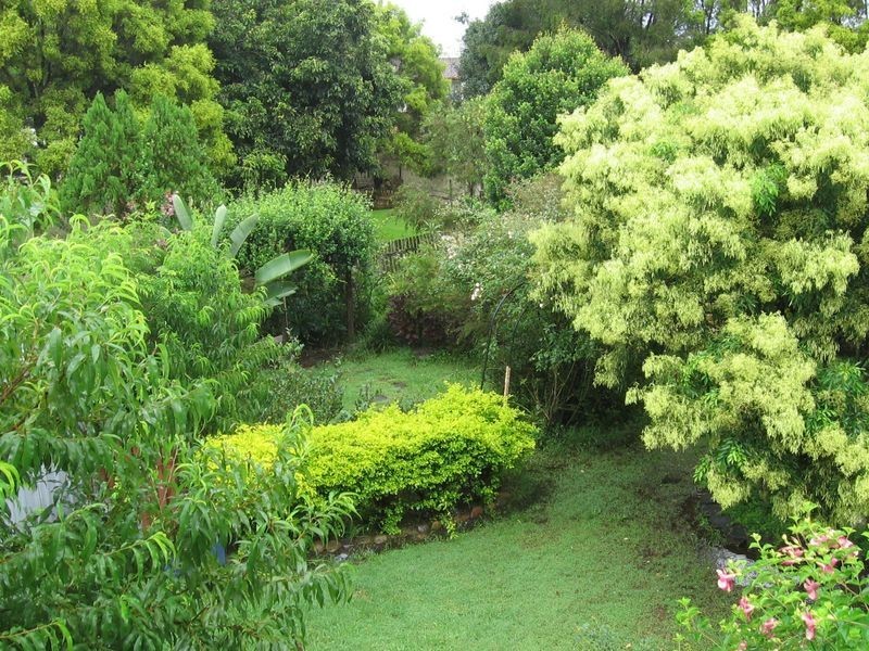 14 Norton Street, Kyogle NSW 2474