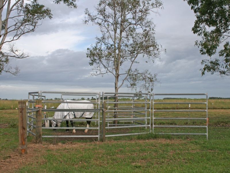 601 Kilgin Road, Kilgin NSW 2472