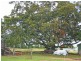 601 Kilgin Road, Kilgin NSW 2472