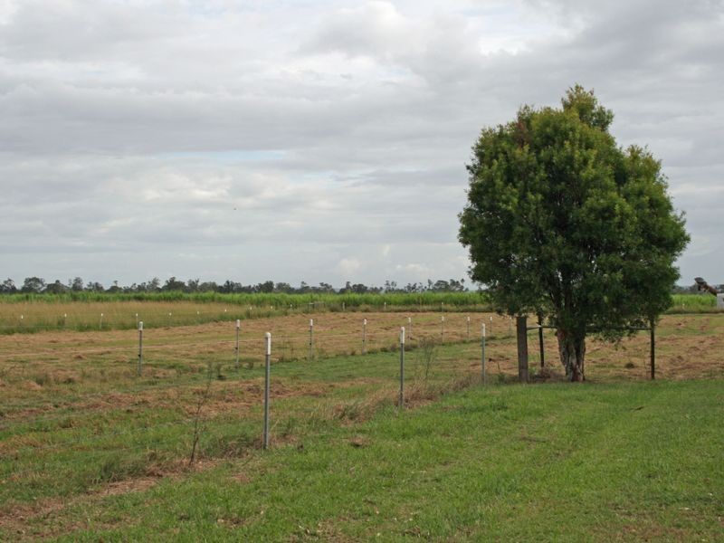 601 Kilgin Road, Kilgin NSW 2472