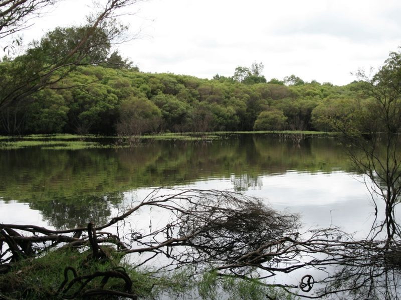 750 Bungawalbin-Whiporie Road VIA, Woodburn NSW 2472