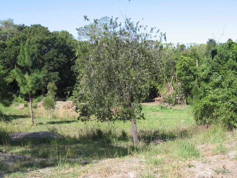 27-41 River Street, Broadwater NSW 2472